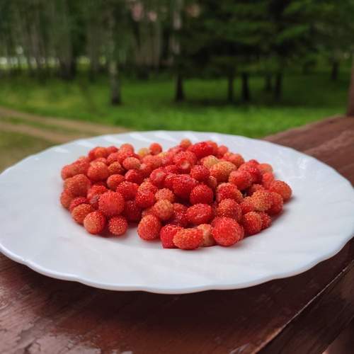 Photo #13731804