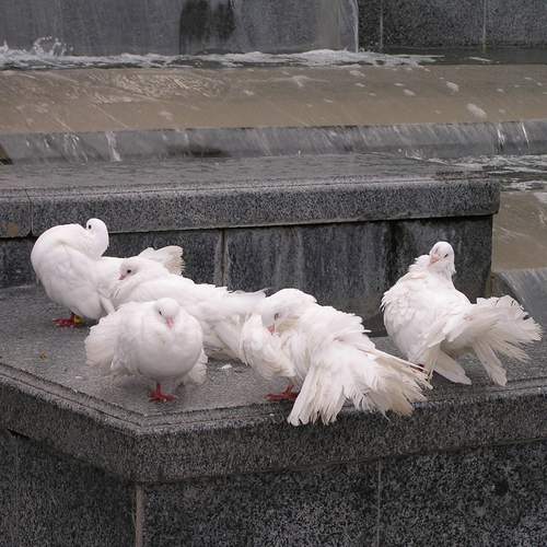 Photo #13731846
