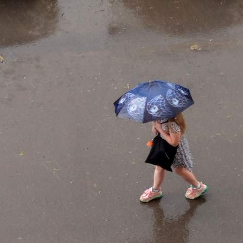 Photo #13731847