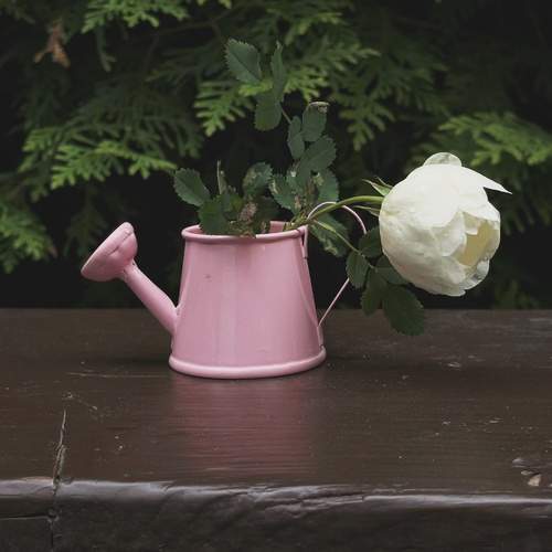 Photo #13731953