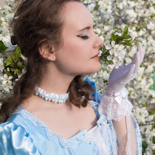 Photo #13732095