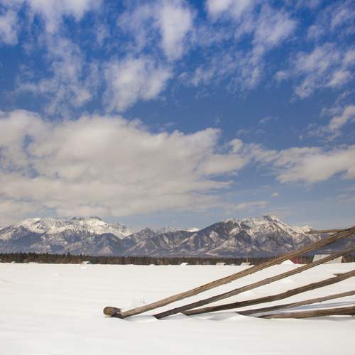 Photo #13732103