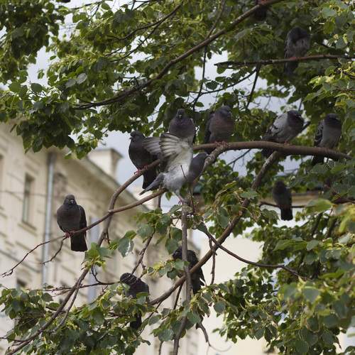 Photo #13732107