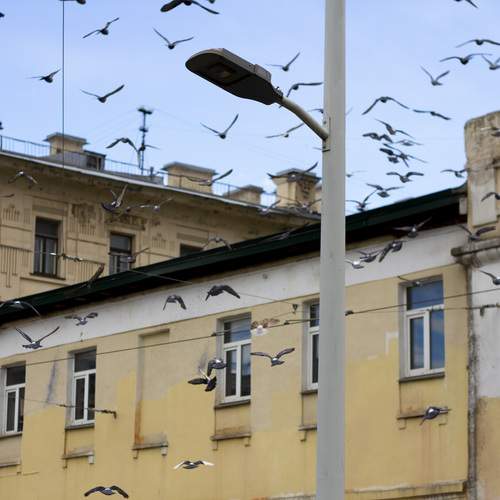 Photo #13732108