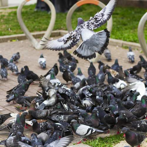 Photo #13732110