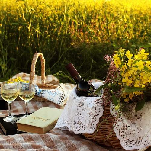 Photo #13732116