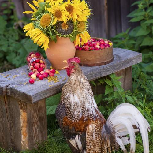 Photo #13732122