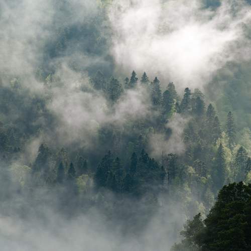 Photo #13732214