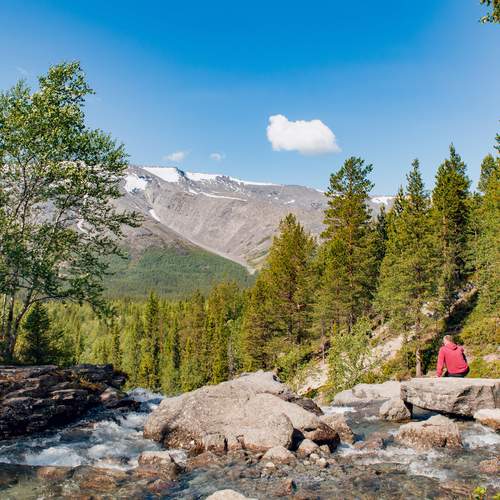 Photo #13732218