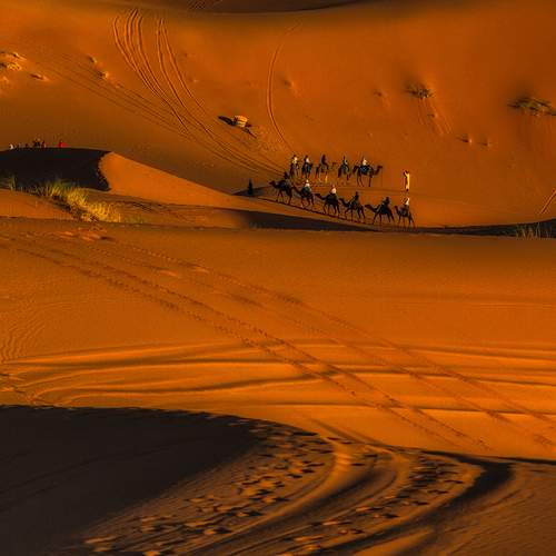 Photo #13732246