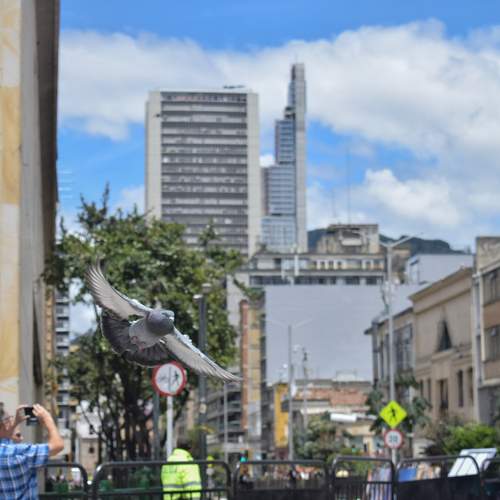 Photo #13732266