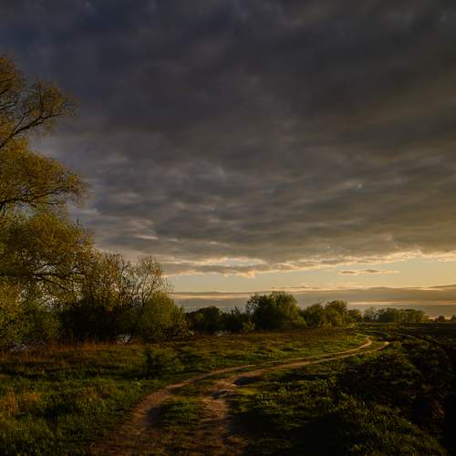 Photo #13732286