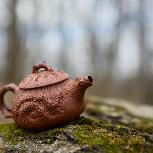 Photo #13732307