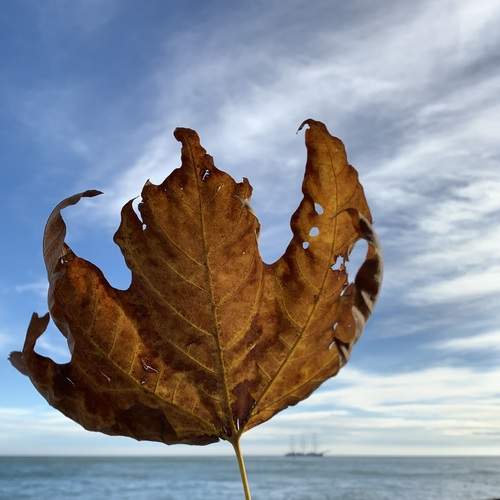 Photo #13732313