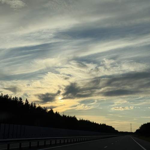 Photo #13732331