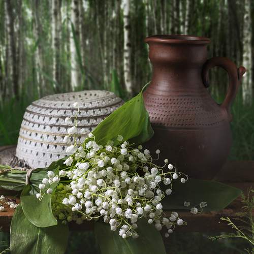 Photo #13732392