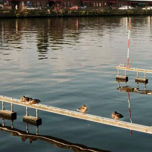 Photo #13732398