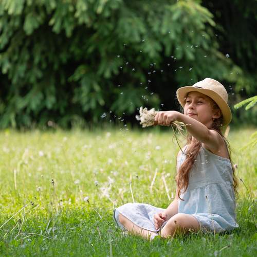 Photo #13732528