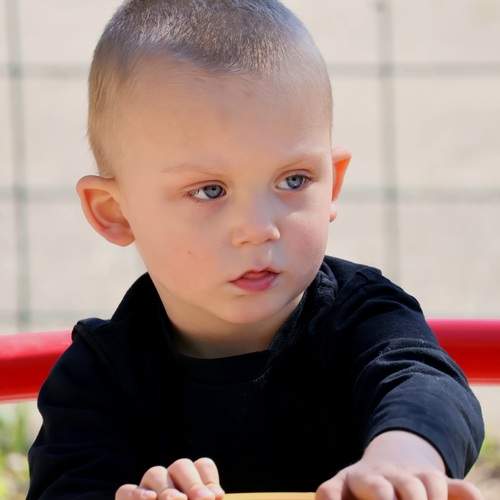Photo #13732571