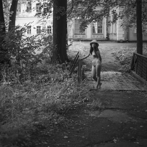 Photo #13732626
