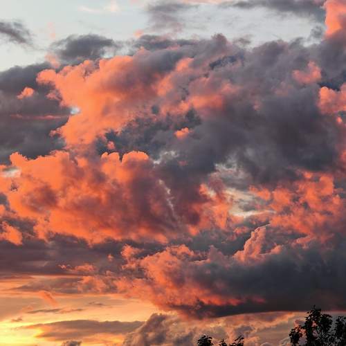 Photo #13732649