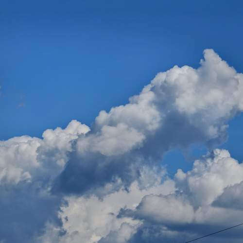 Photo #13732651