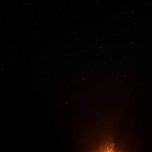 Photo #13732744