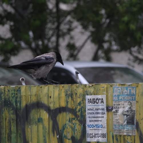 Photo #13732784