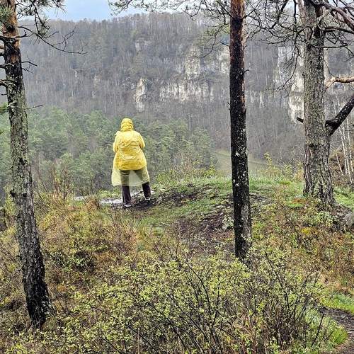 Photo #13732825