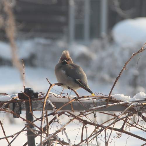 Photo #13732900