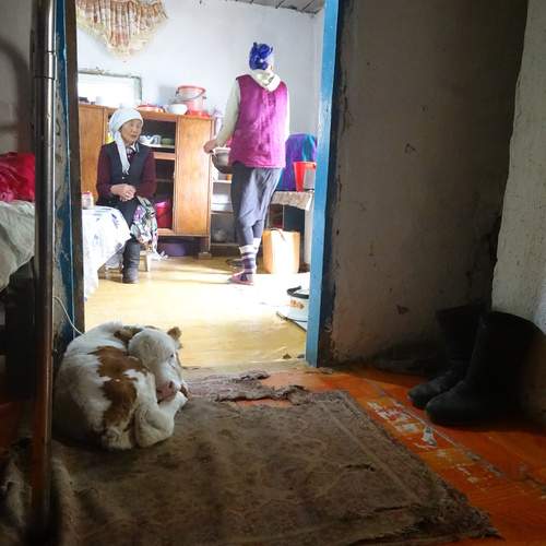 Photo #13732925