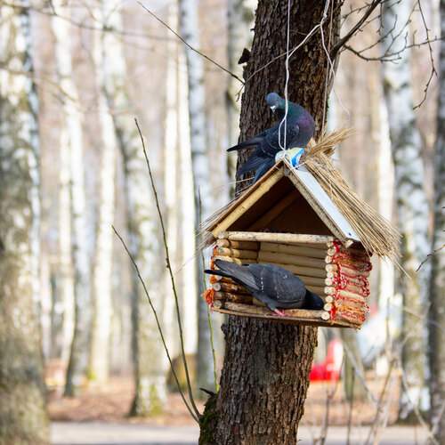 Photo #13732927