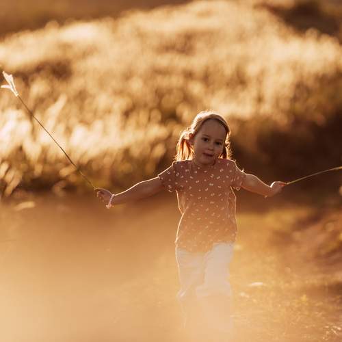 Photo #13732941