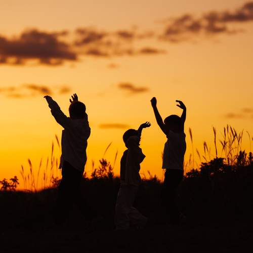 Photo #13732955