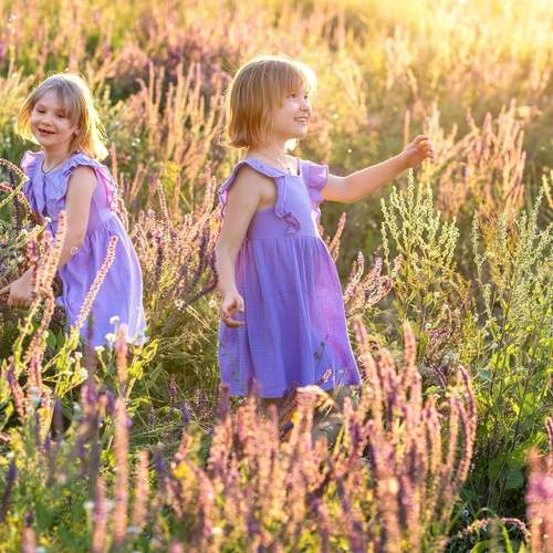 Photo #13733036