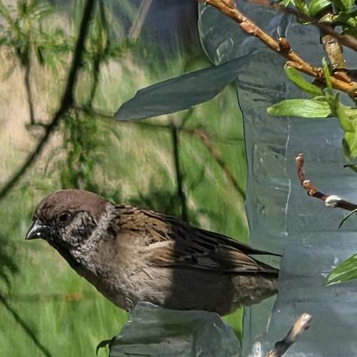 Photo #13733039