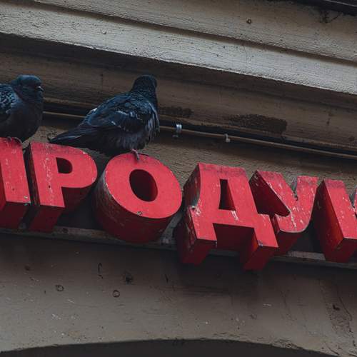 Photo #13733070