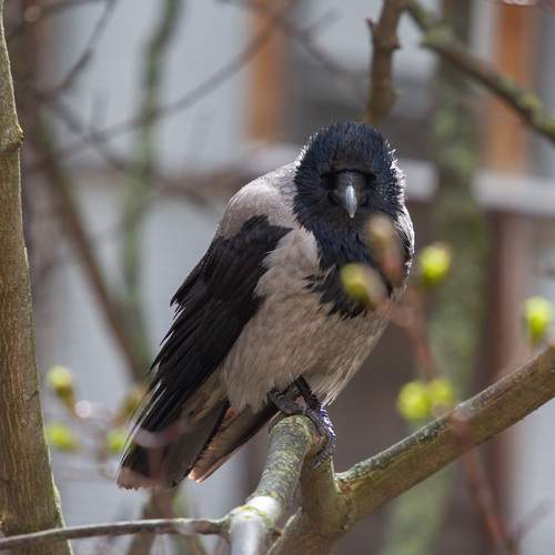 Photo #13733106