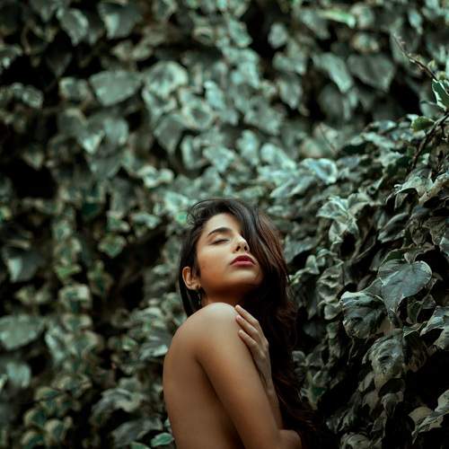 Photo #13733129