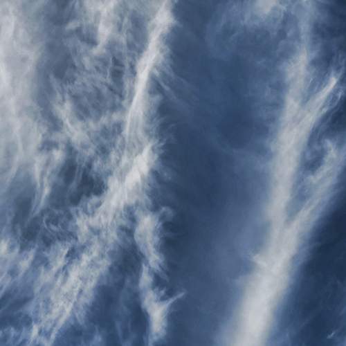 Photo #13733131