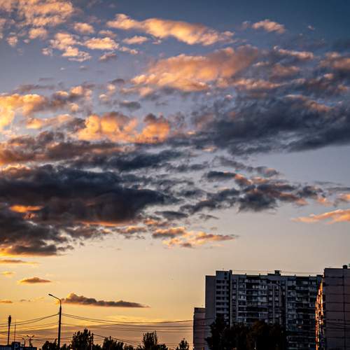 Photo #13733132