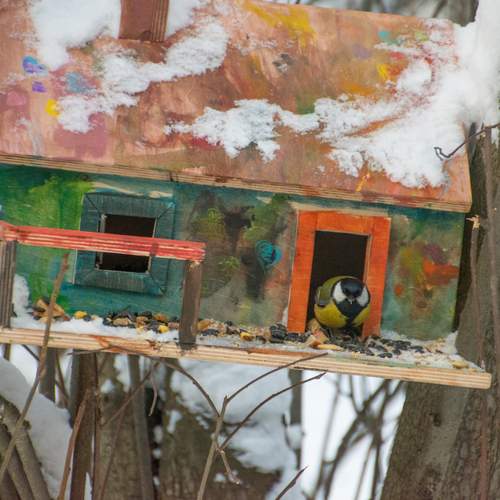 Photo #13733143