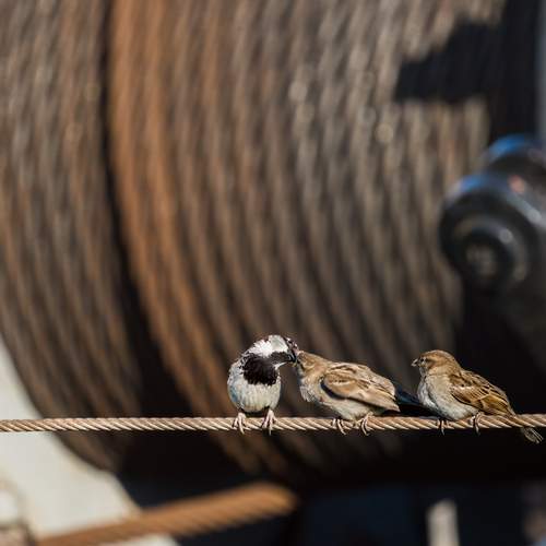 Photo #13733191
