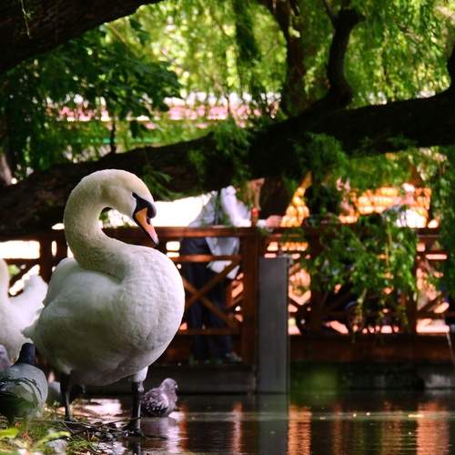 Photo #13733199