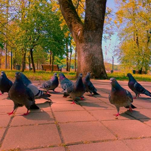 Photo #13733226