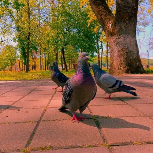 Photo #13733227