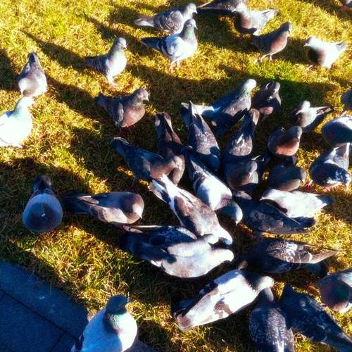 Photo #13733229