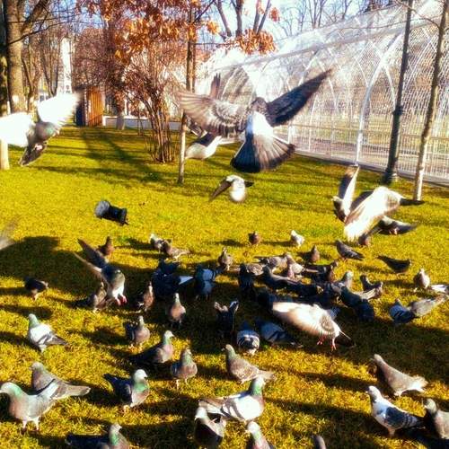 Photo #13733232