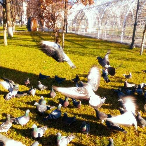Photo #13733235