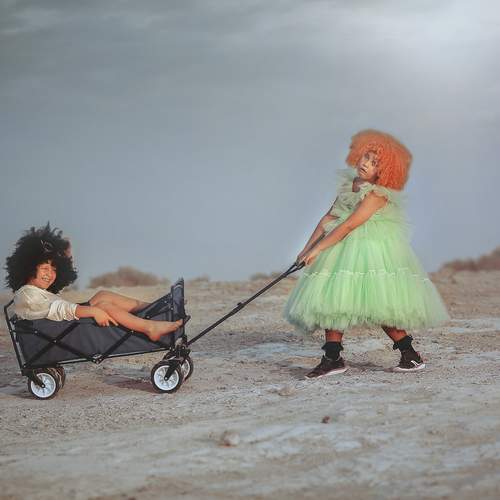 Photo #13733265